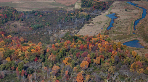 Aerial View of Kimberly Run and the adjacent Louie-Beach Wetlands
